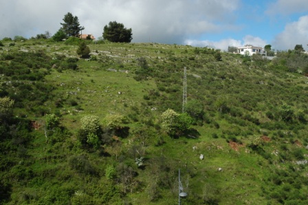 ????????????????????????????????????