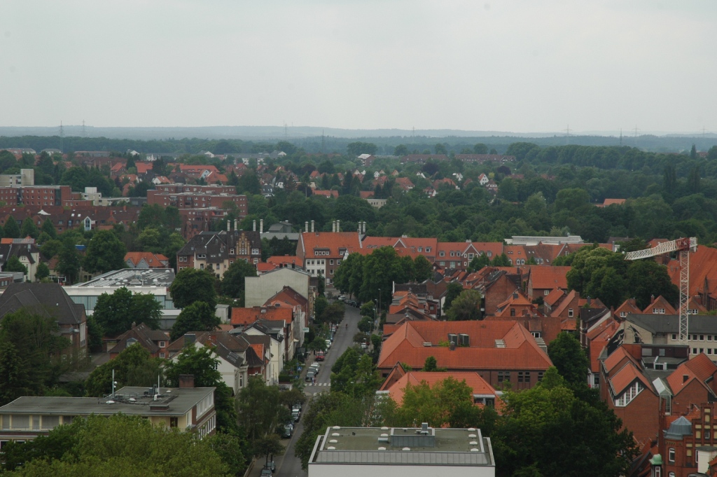DSC_6042