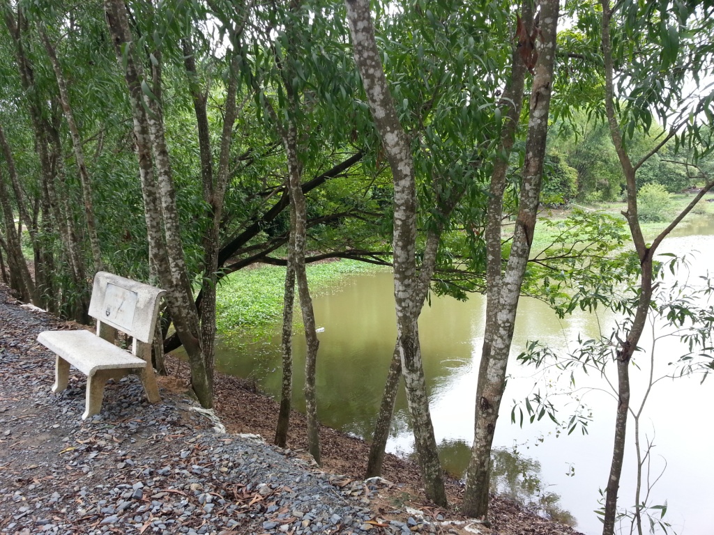 sembra un giardino ma...