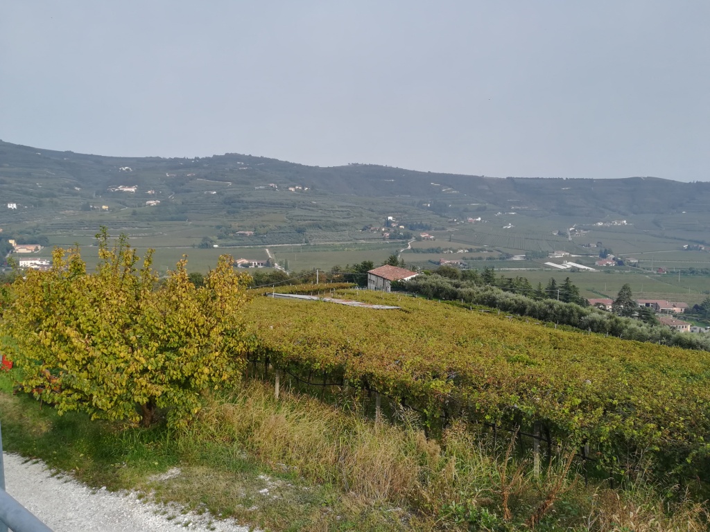 vigneti monte caro vr