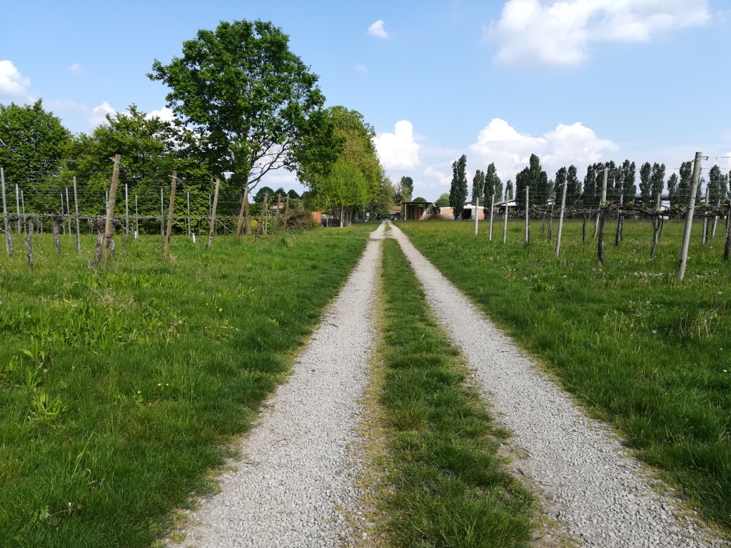 podere giardino viale d'accesso