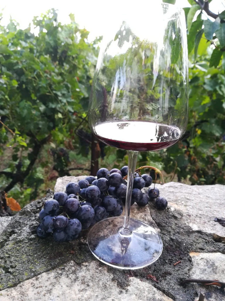 cobo winery