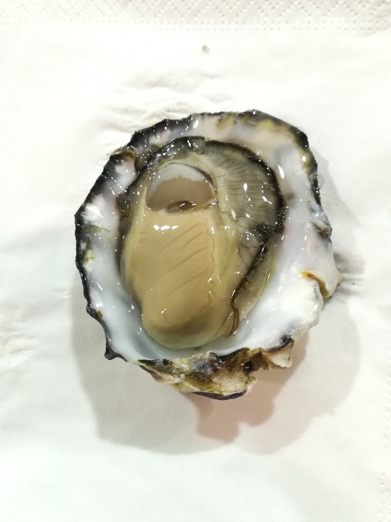 gourmandia