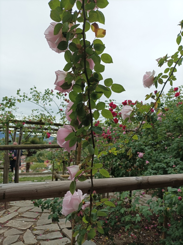 Monastero_Kostanjevica