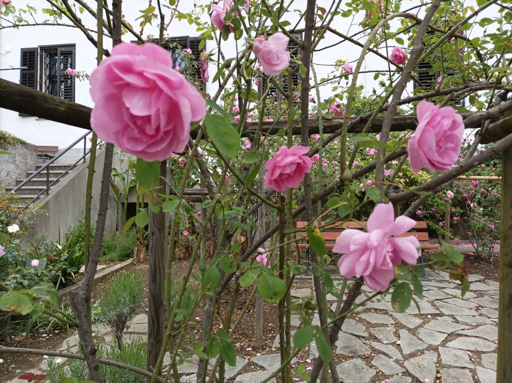 Monastero_Kostanjevica